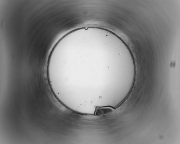 X0000103411296200810031238