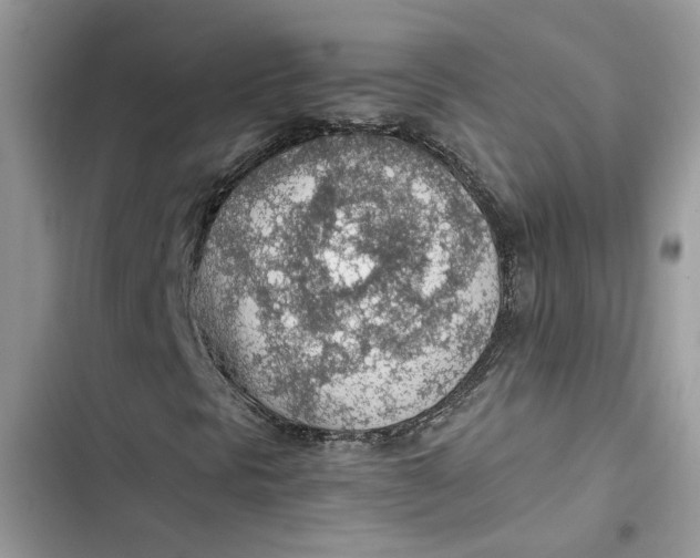 X0000103411297200810031237