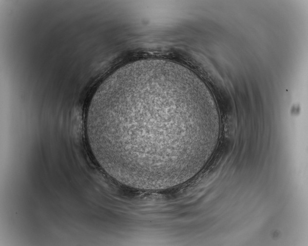 X0000103411298200810031237