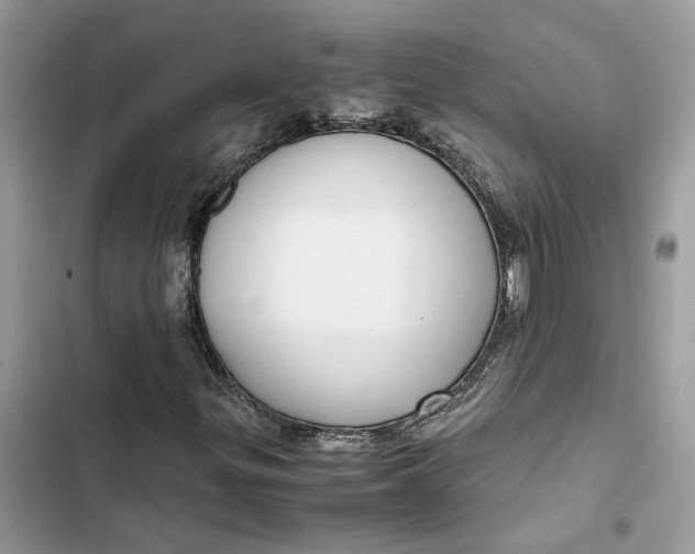 X0000103411299200810031237