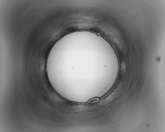 X0000103411300200810031237