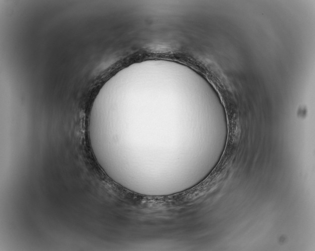 X0000103411301200810031237