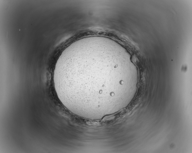 X0000103411302200810031237