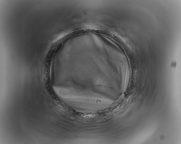 X0000103411303200810031237