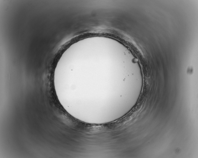 X0000103411304200810031237