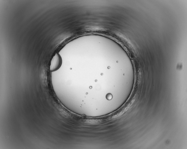 X0000103411305200810031237