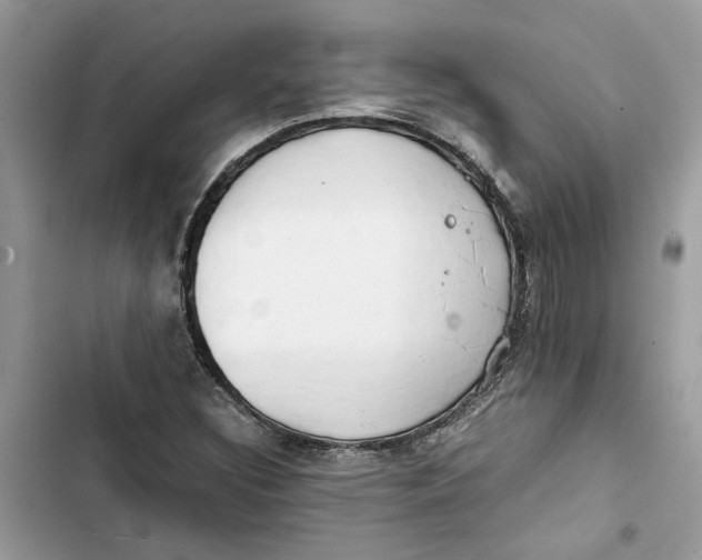 X0000103411308200810031237