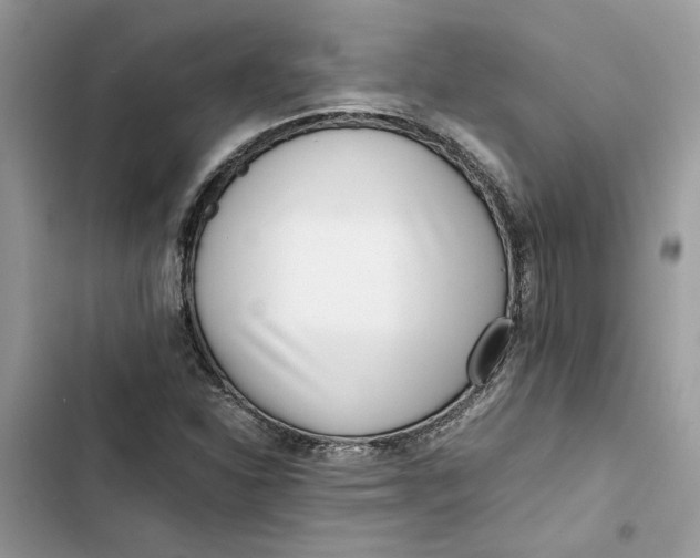 X0000103411310200810031237