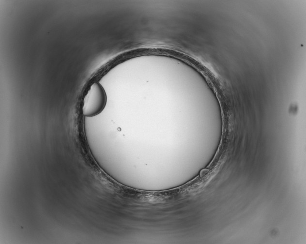 X0000103411311200810031237