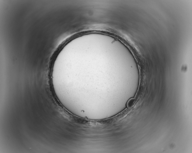 X0000103411312200810031237