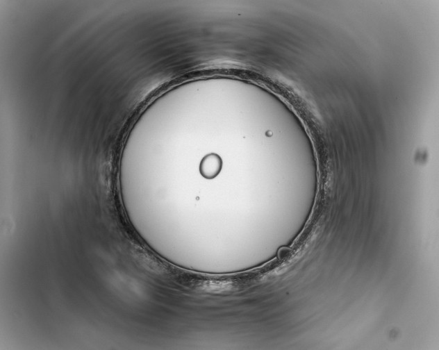 X0000103411313200810031237