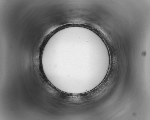 X0000103411315200810031237