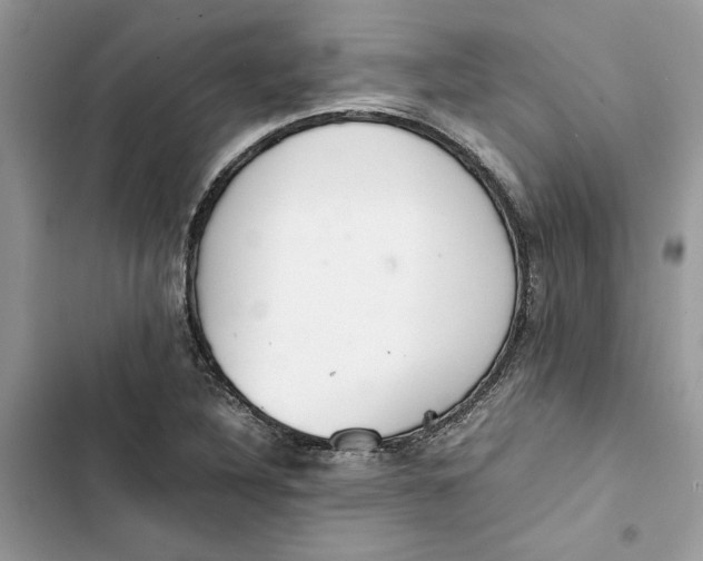 X0000103411316200810031237