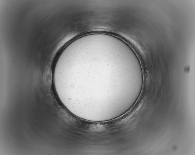 X0000103411317200810031237