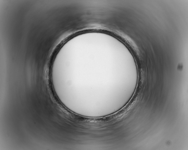 X0000103411318200810031237