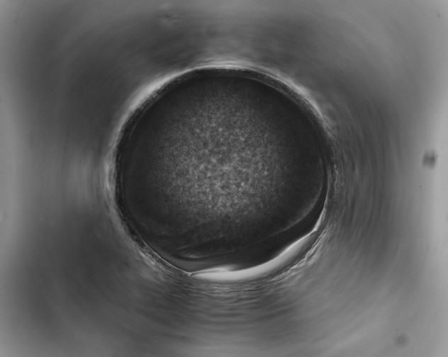 X0000103411319200810031237