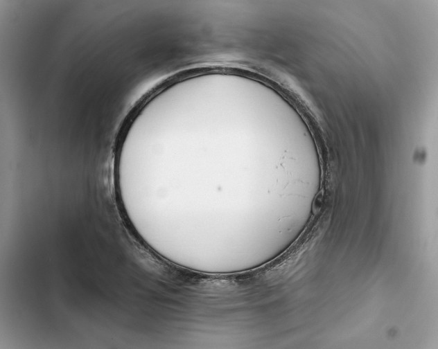 X0000103411320200810031237