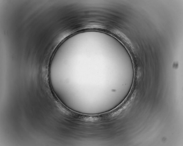 X0000103411321200810031237