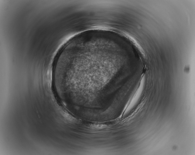 X0000103411323200810031237