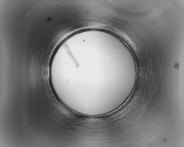 X0000103411324200810031237