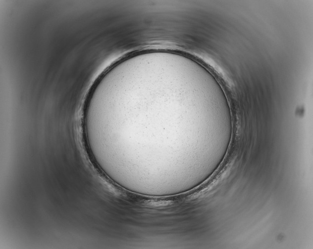 X0000103411325200810031237