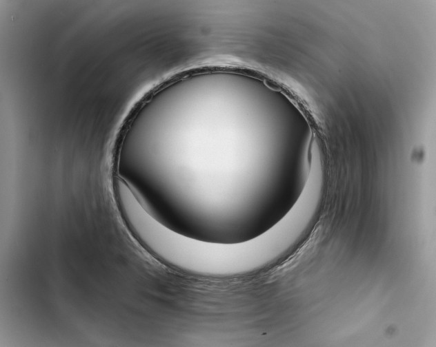 X0000103411326200810031237