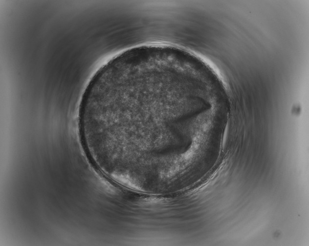 X0000103411327200810031237