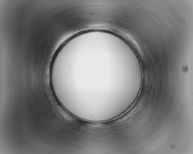 X0000103411328200810031237