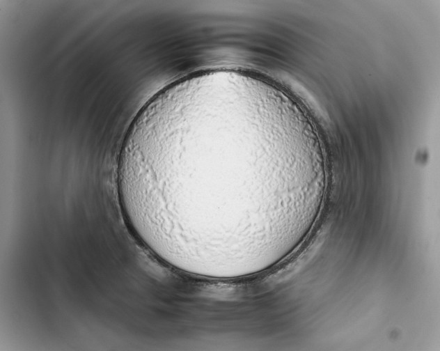 X0000103411329200810031237