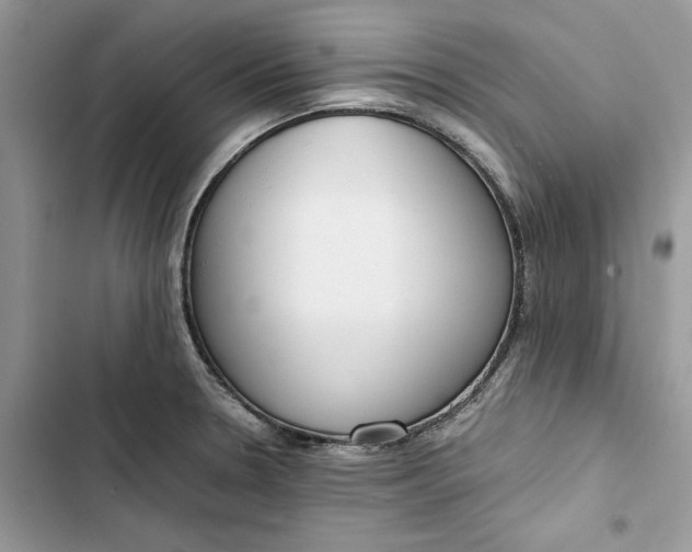 X0000103411330200810031237