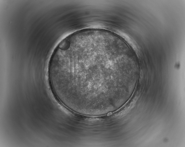 X0000103411331200810031237