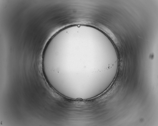 X0000103411332200810031237