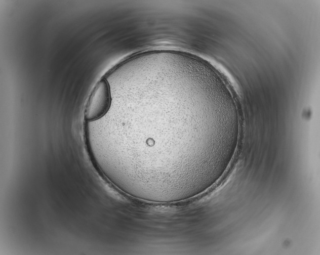 X0000103411333200810031237