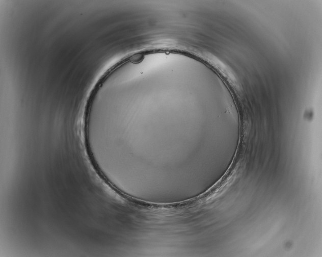 X0000103411334200810031237