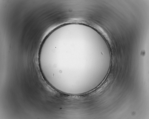 X0000103411336200810031238