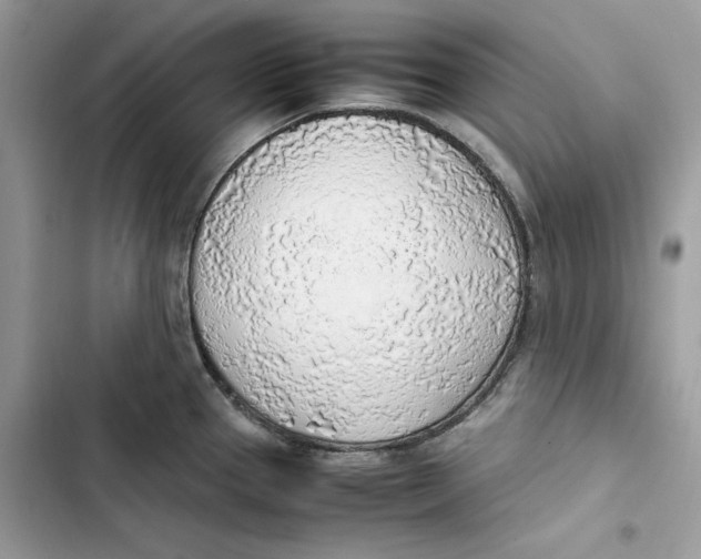 X0000103411337200810031238