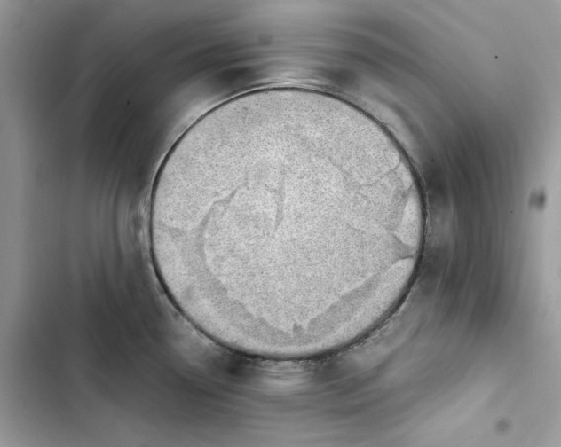 X0000103411338200810031238