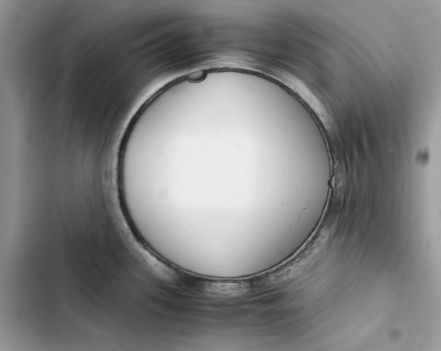 X0000103411339200810031238