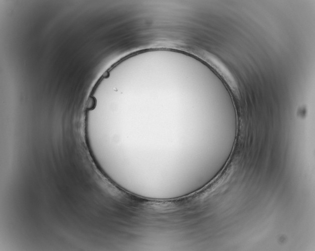 X0000103411340200810031238