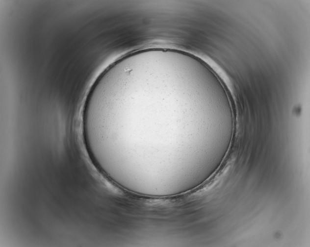 X0000103411341200810031238