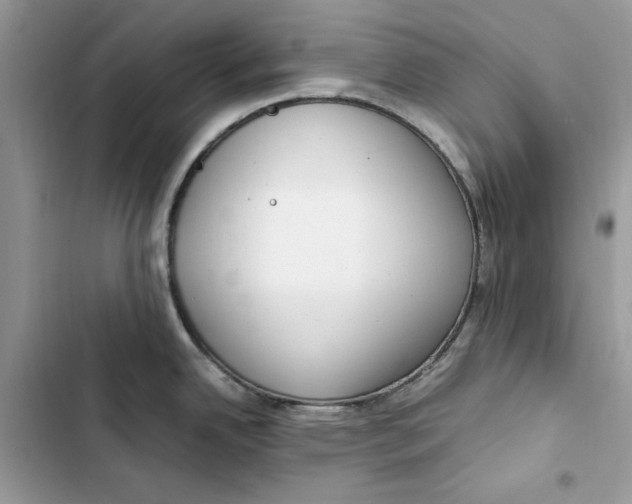 X0000103411342200810031238