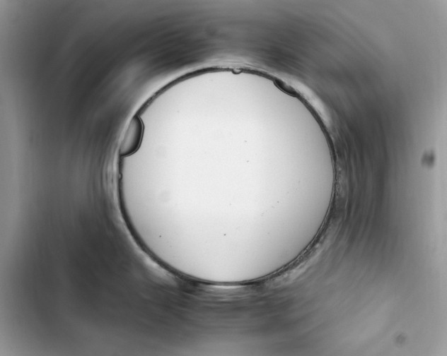 X0000103411343200810031238