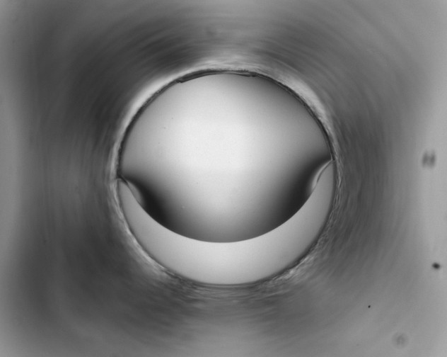 X0000103411344200810031238