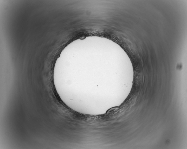 X0000103411345200810031237