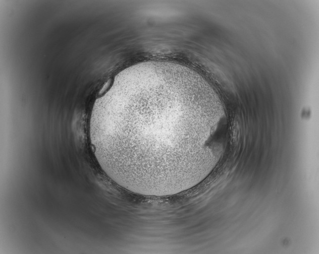 X0000103411346200810031237