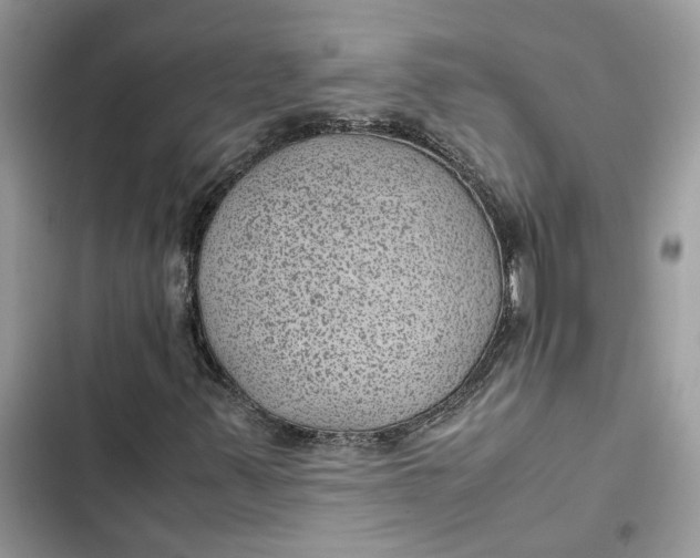 X0000103411347200810031237