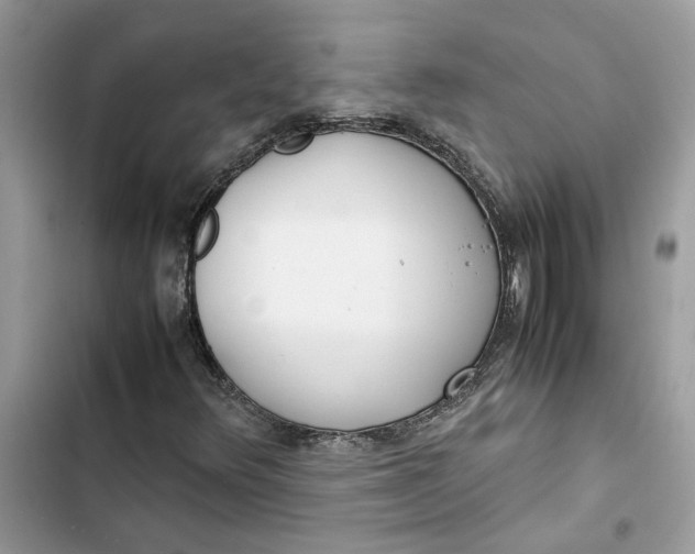 X0000103411348200810031237