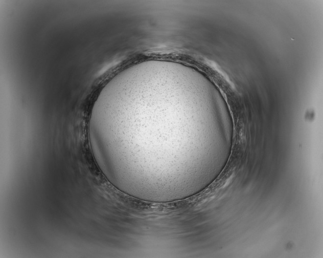 X0000103411350200810031237