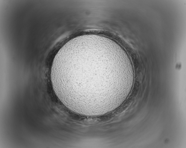 X0000103411351200810031237