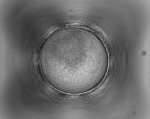 X0000103411353200810031237